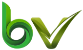 bValue Venture Logo